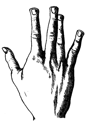 Тайны руки - i_008.png