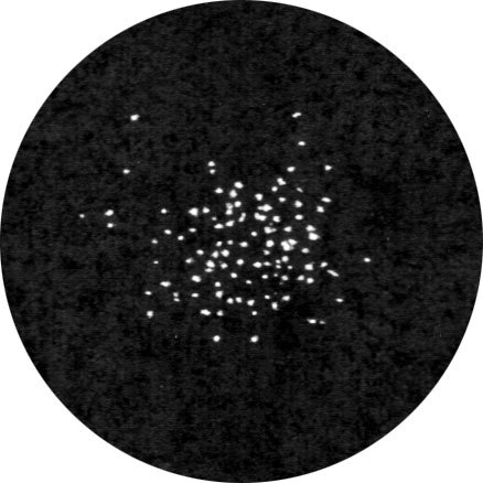 Журнал PC Magazine/RE №1/2011 - i_002.jpg