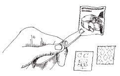 Изучаем науку с помощью бумаги - i_014.png
