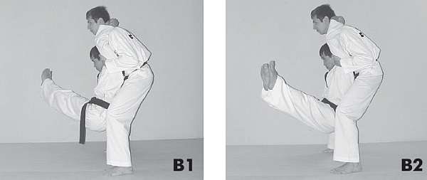 Выживают сильнейшие. Физическая подготовка в практике боевых искусств и единоборств - i_062.jpg