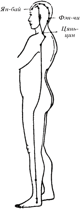 Золотые рецепты цигун-терапии - i_022.png