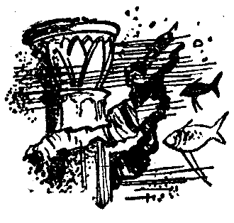 Маракотова бездна (илл. Н. Гришина) - pic_10.png