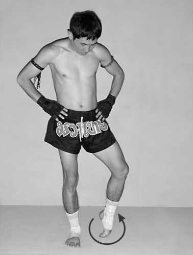 Бойцовский клуб: боевой фитнес для мужчин - i_036.jpg