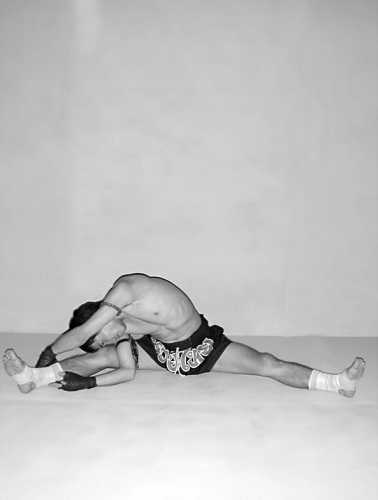 Бойцовский клуб: боевой фитнес для мужчин - i_045.jpg