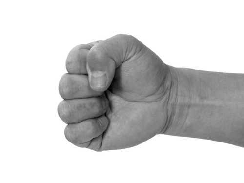 Бойцовский клуб: боевой фитнес для мужчин - i_055.jpg