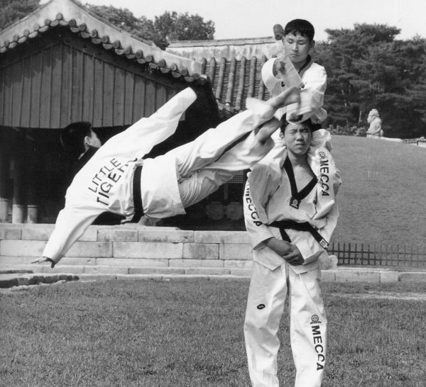 Тхэквондо для начинающих - i_006.jpg