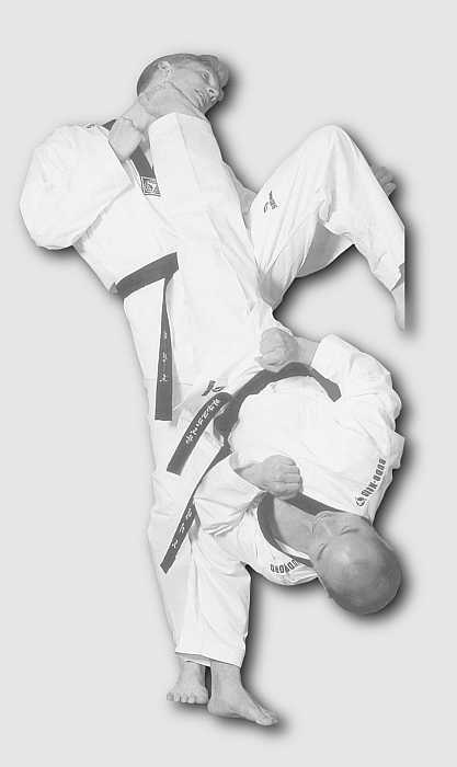 Гибкость в боевых искусствах - i_003.jpg