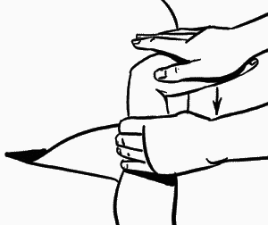 Восточный массаж как фактор удовольствия - i_033.png