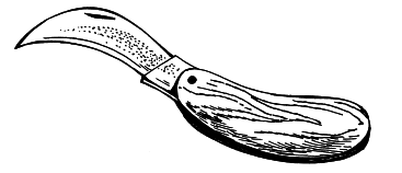 Обрезка деревьев и кустарников плодовых и декоративных - i_014.png