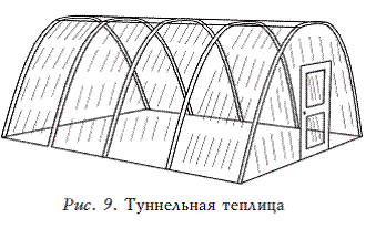 Богатый урожай из парника и теплиц - i_009.png