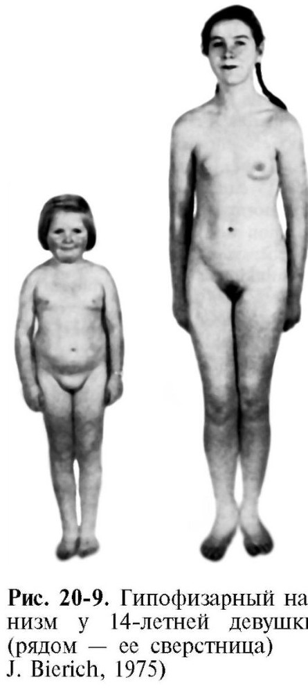 Патофизиология. Том 2 - _88.jpg