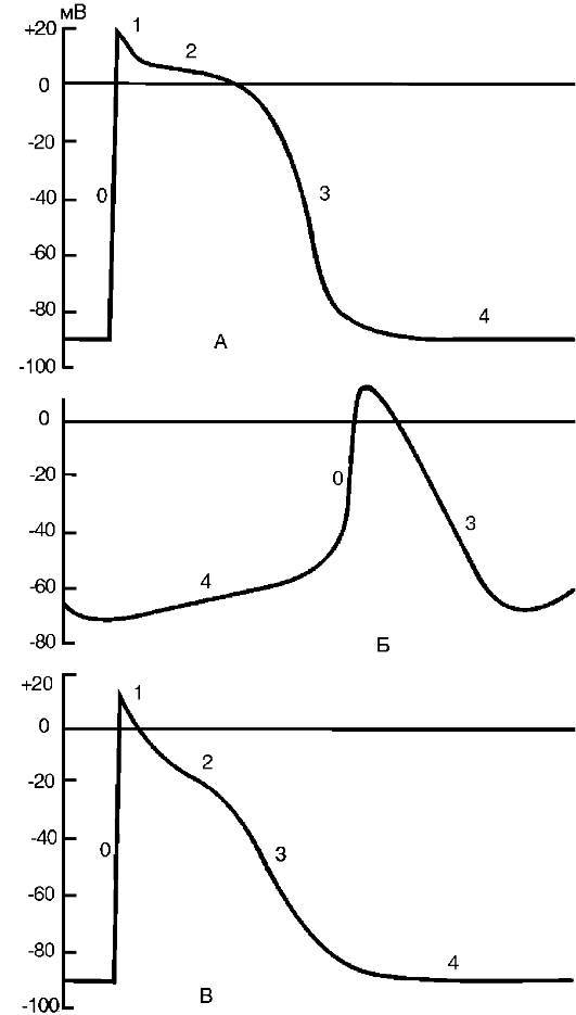 Патофизиология. Том 2 - _48.jpg