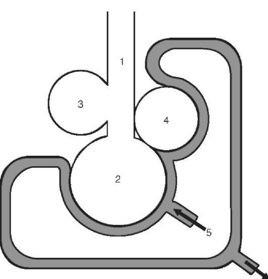 Патофизиология. Том 2 - _59.jpg