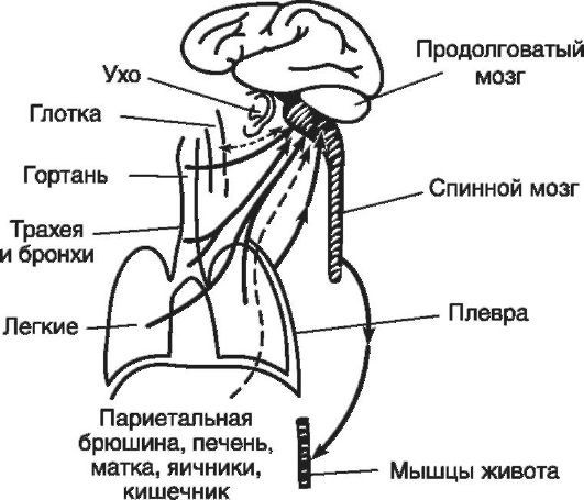 Патофизиология. Том 2 - _62.jpg