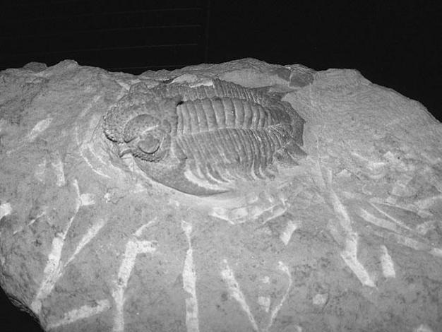 Итоги № 6 (2014) - TAGimg_922_I-06-EXCLUS-lun-f53_640_jpg621912