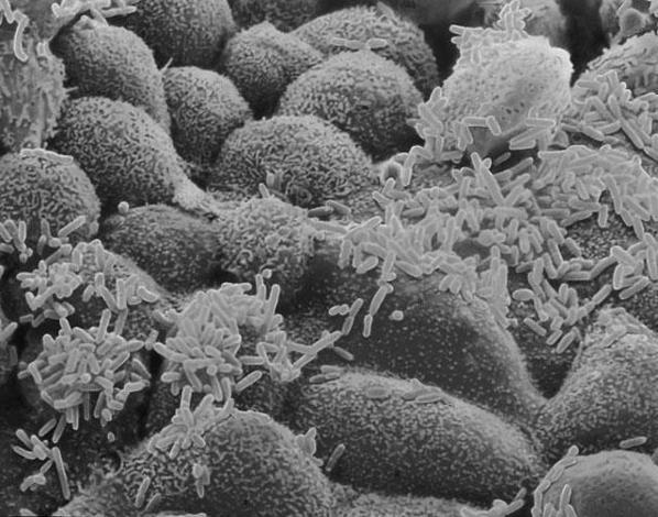 Итоги № 6 (2014) - TAGimg_922_I-06-OBSCH-bron-f09_640_jpg563104