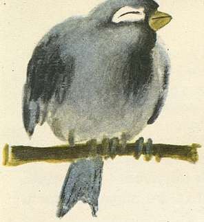 Под одной крышей - i_018.jpg