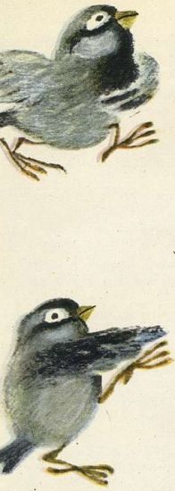 Под одной крышей - i_020.jpg