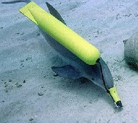 Конец боевой мутации - i_001.jpg