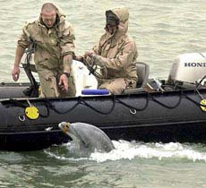 Конец боевой мутации - i_005.jpg