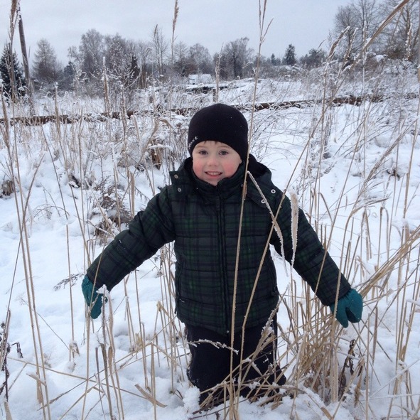 Симфония Земли - image9_56d21d920d1a390500f90053_jpg.jpeg