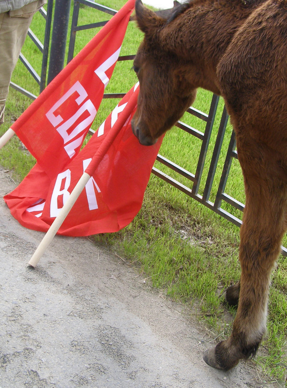 Черта города - image4_5647329eb930d69811ad9fcc_jpg.jpeg