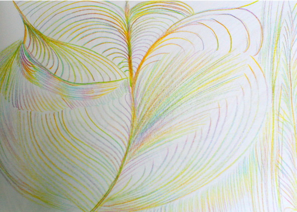 Каталог работ. Карандаш 1 - image13_5604e75ca69e92545d9925c2_jpg.jpeg