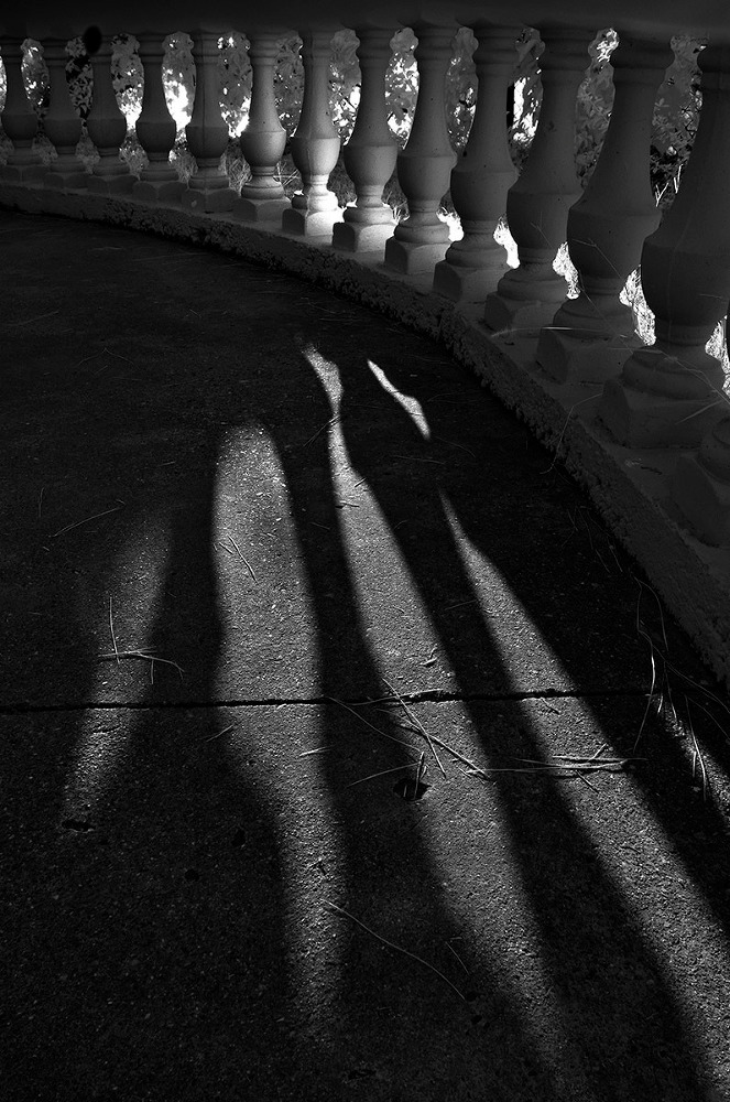 Композиция и выделение главного - image11_55c3d71e9720515008de7475_jpg.jpeg