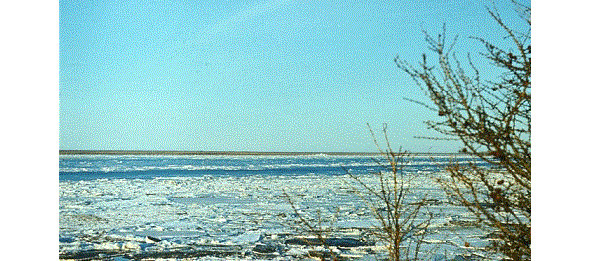 Колымские повести - image1_562e5ec83b0f4da66989e5cd_jpg.jpeg