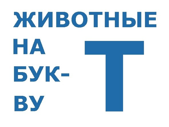 О животных по алфавиту. Книга тринадцатая. Животные на Т (продолжение) - image0_56b5c7e6a6153c0500c4cd66_jpg.jpeg