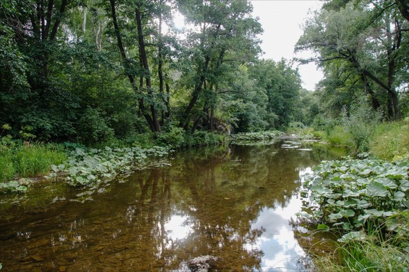 Русская действительность - image30_56931b332dbc262702f3591e_jpg.jpeg