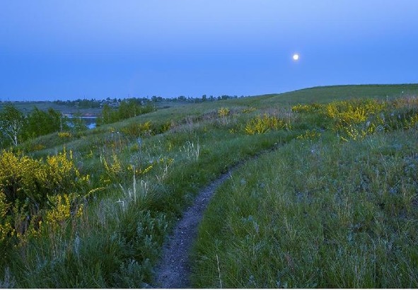 Русская действительность - image32_56931bc72dbc262702f35923_jpg.jpeg