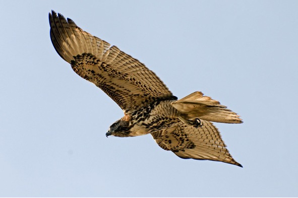 Русская действительность - image35_56931d9a2dbc262702f35936_jpg.jpeg