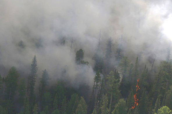 Русская действительность - image38_56941e852dbc262702f41825_jpg.jpeg