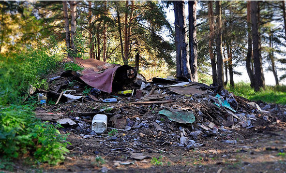 Русская действительность - image46_56af4a12a6153c0500c0e30d_jpg.jpeg