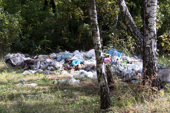 Русская действительность - image47_56944dc72dbc262702f42544_jpg.jpeg