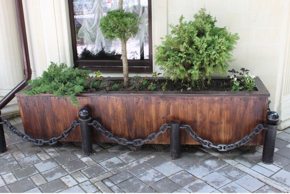 Лилии. Книга 4. Контейнерная культура - image10_56ef6cc3f5aecf0500158156_jpg.jpeg