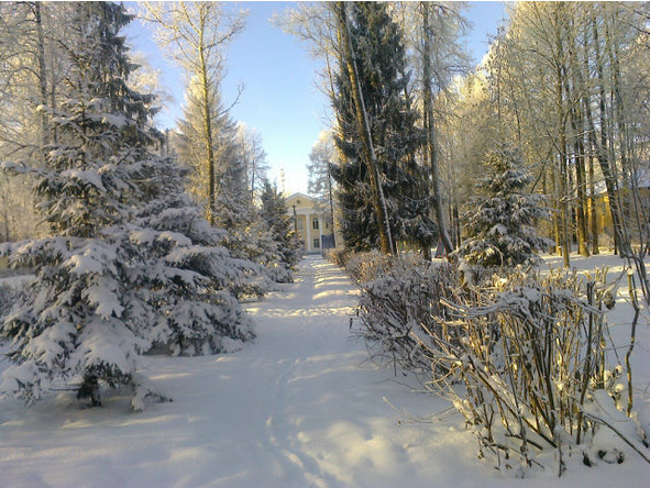 Сборник произведений. 2015 год - image6_56c207f1721b81692798a574_jpg.jpeg