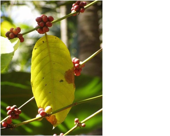 Путешествие на Восток. Заметки путешественника. Часть 1 - image10_5656768e93732dfa171f8e48_jpg.jpeg