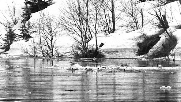 Моя тропа - image14_56a65bb2968e7b4f36648845_jpg.jpeg