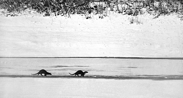 Моя тропа - image18_569f6ebb7a28b7d95694204b_jpg.jpeg