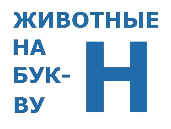 О животных по алфавиту. Книга седьмая. Животные на Н – П - image0_569a54450498f7d80d3ed2df_jpg.jpeg