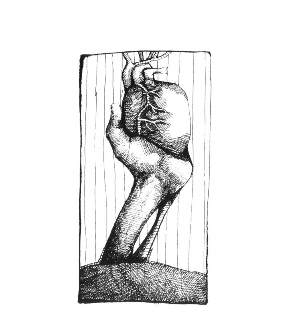 В чём наша суть? - image25_566e808f7c937059038c365c_jpg.jpeg