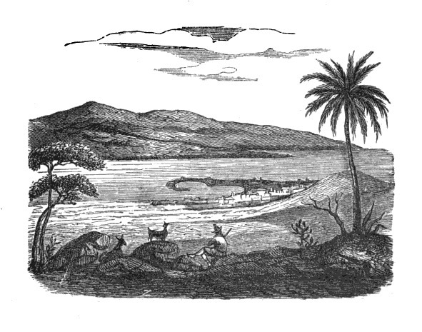 Куда бежит Горгона? - image19_5637db3531bc50e06aeae92e_jpg.jpeg