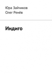  Зайчиков Юра - Индиго