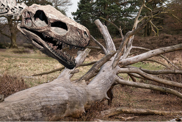 Книга любви - image0_56846d3fd945119639dcafa8_jpg.jpeg