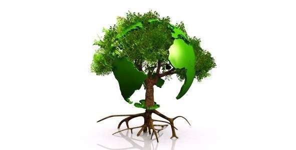 Вольная азбука - image5_568c217e2dbc262702efdacf_jpg.jpeg