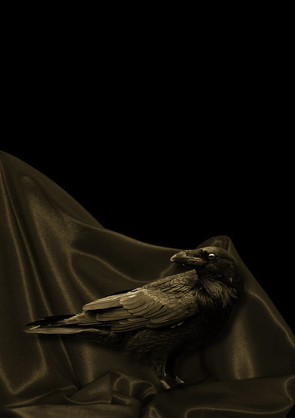 Изваяние пустоты… - image1_560c160a29831d8215c92b0b_jpg.jpeg