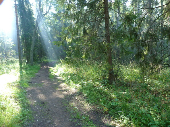 Тайна маркиза де Ла-Крюшон - image3_55faef5411e36c715e7d3676_jpg.jpeg