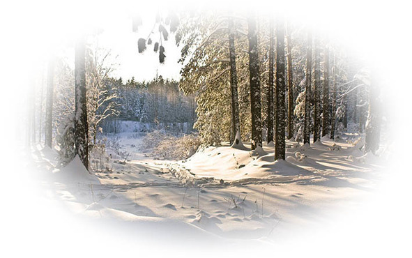 Времена года. Зима - image15_5656e42bada8e1672325c341_jpg.jpeg